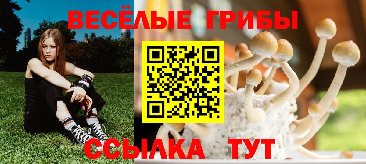 Галлюциногенные грибы мухоморы  где продают   Кызыл  Вход с VPN 